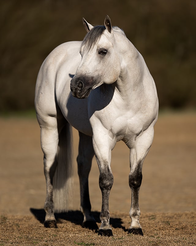 Two Legitt